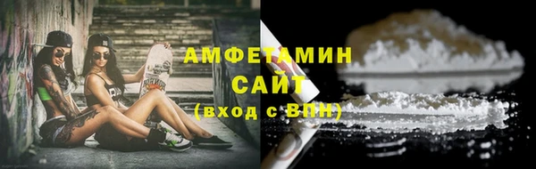 ECSTASY Алзамай