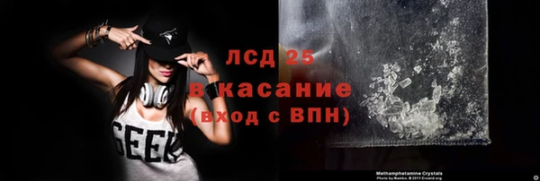 ECSTASY Алзамай